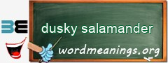 WordMeaning blackboard for dusky salamander